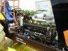 DSC01482.jpg