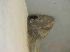 DSCN0739.jpg