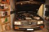 DSC_7551bis.jpg
