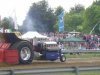 DSC01543.jpg