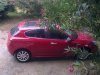 27072011250.jpg