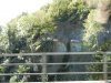 DSCN1625.jpg