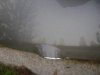DSC01267.jpg