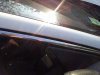 20111130_094415.jpg