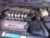 23062008013.jpg