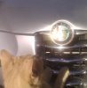 IMG0445A.jpg