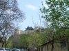 DSC04696.jpg