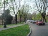 DSC04698.jpg