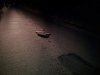 IMG_20120415_001301.jpg