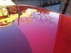 20121203_142225.jpg