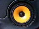 100_0798x.JPG