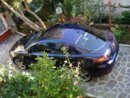 ALFA GT VIALE.jpg