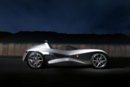 peugeotflux_4.jpg