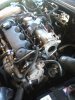 IMG_20121229_105738.jpg