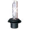 lampadah7.jpg