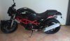 ILPOLLO 890.jpg