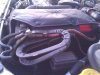 WP_000274.jpg