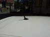 20130413_153330.jpg