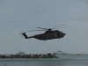 SDC11531.jpg