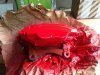 ImageUploadedByTapatalk 21368346076.818363.jpg