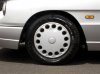 IMG_5050 st (Small).jpg