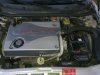 alfa mia 004.jpg