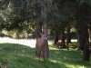DSCN0925.jpg