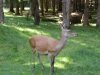 DSCN0928.jpg