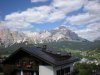 DSCN0959.jpg