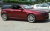 alfa spider.jpg