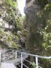 DSCN1068.jpg