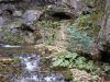 DSCN1072.jpg