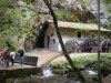 DSCN1074.jpg