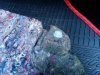 IMG_20131212_151532.jpg
