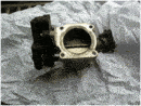 farfalla3.gif