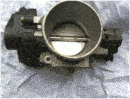 farfalla4.gif