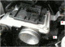 farfalla5.gif