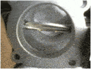 farfalla9.gif