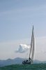n1366852771_105742_8340.jpg