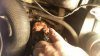 20140319_152739.jpg