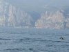 IMG_1272.jpg