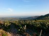 20140508_192638.jpg