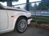 alfa2.jpg