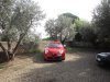 DSC03207.jpg