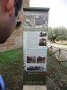 DSC03232.jpg