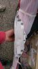 IMG-20141127-WA0003.jpg