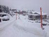 IMG_2418.jpg