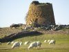 oliviero-olivieri-nuraghe-succurronis-macomer-sardinia-italy-europe.jpg