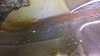 IMG_20150317_121548 (FILEminimizer).jpg
