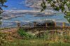 IMG_8410-01.jpg